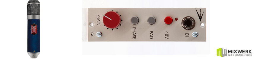 Beesneez Mahalia and A-Design P1