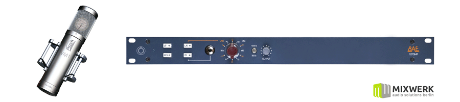 Brauner VM1 Lite and BAE 1073